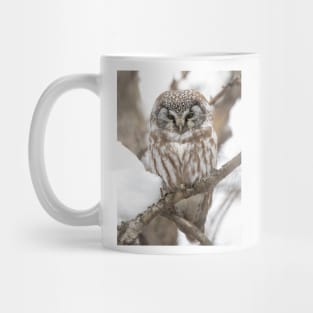 Boreal Owl Mug